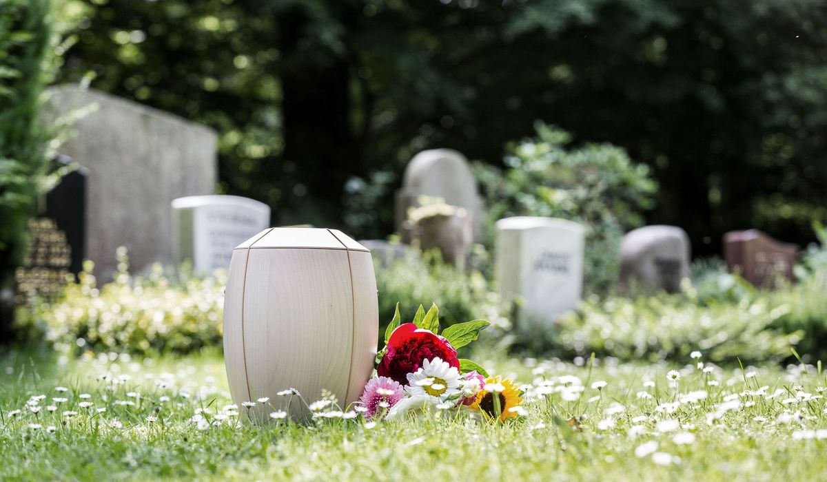 Urne mit frischen Blumen auf dem Friedhof